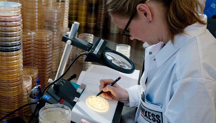 LANXESS to acquire IFF microbial control business