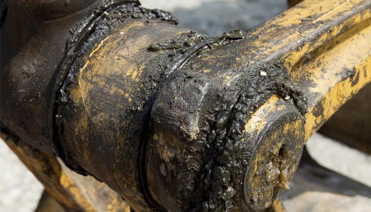 Lubrication free polymer bearings from igus